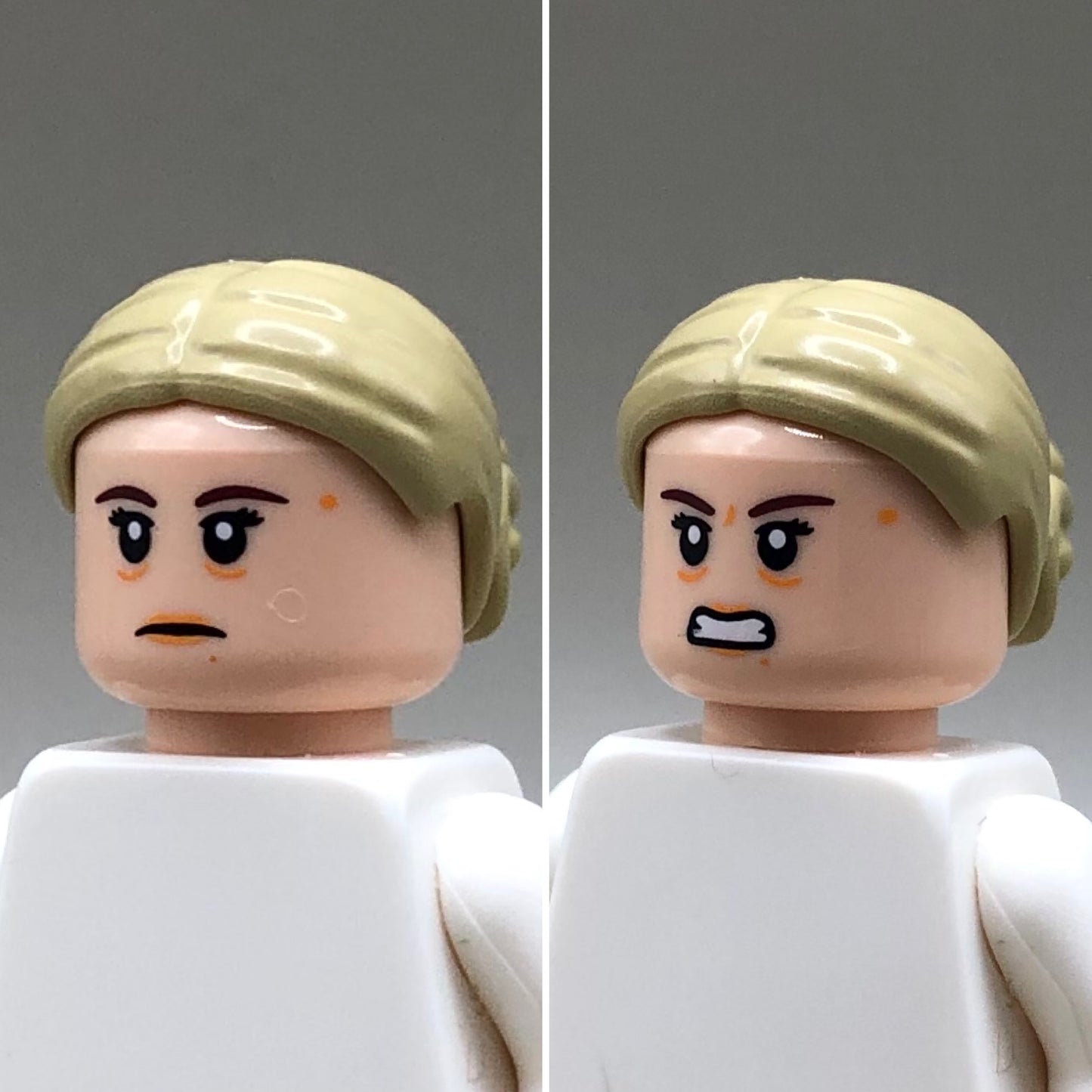 Suspicious Supervisor Head - RC