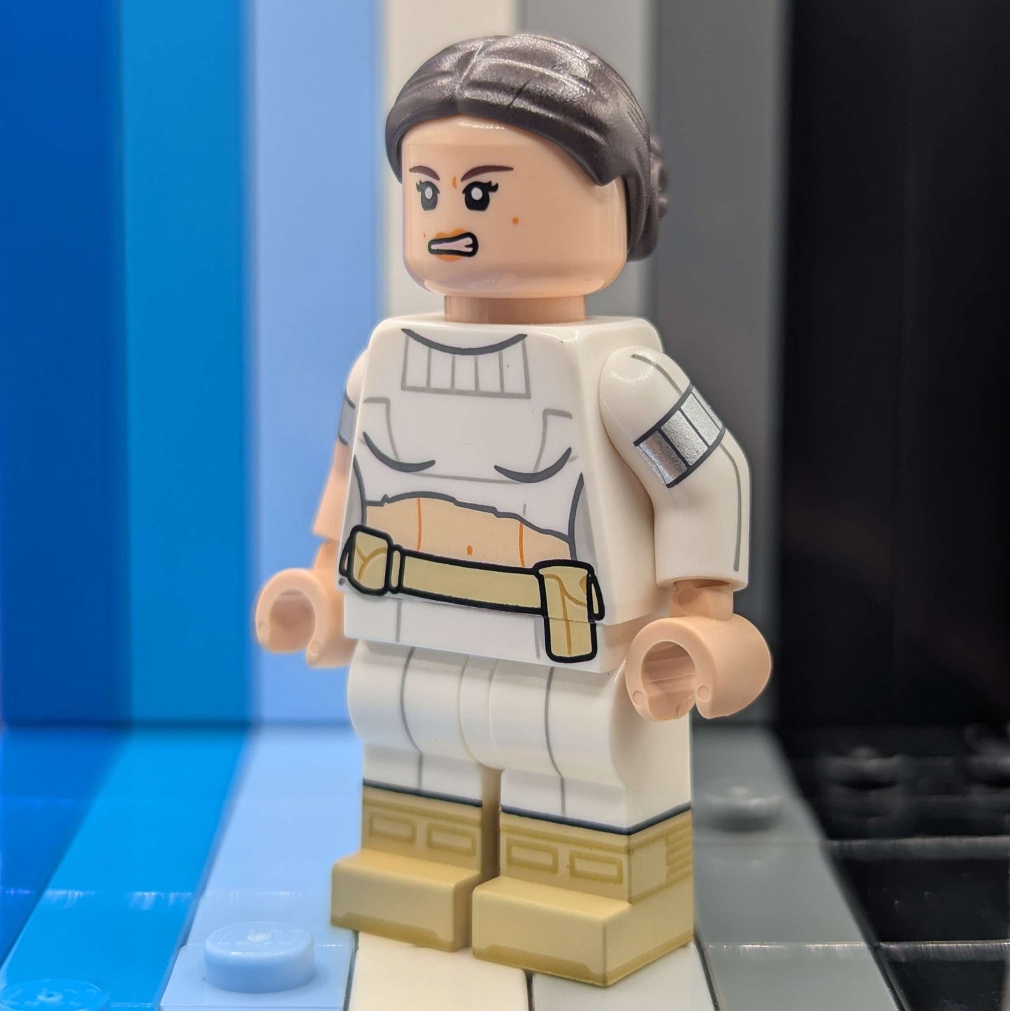 Protected Senator - PTC