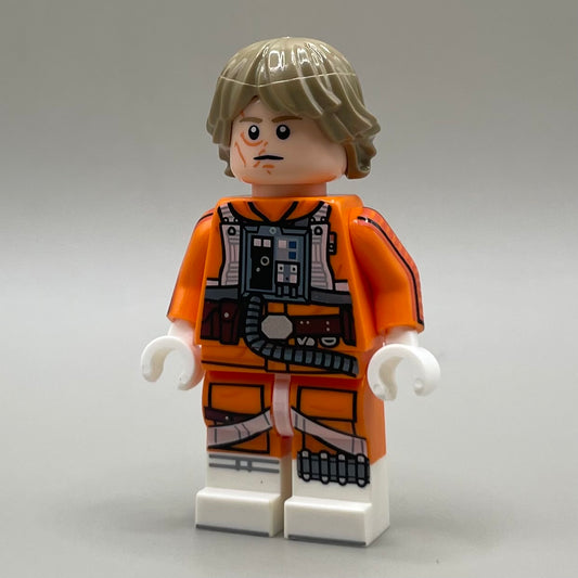 Pervasive Pilot - BDM