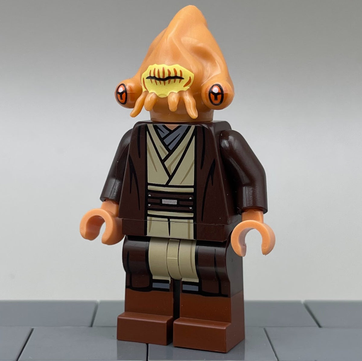 Isosceles Isopod, ROTS - BDM