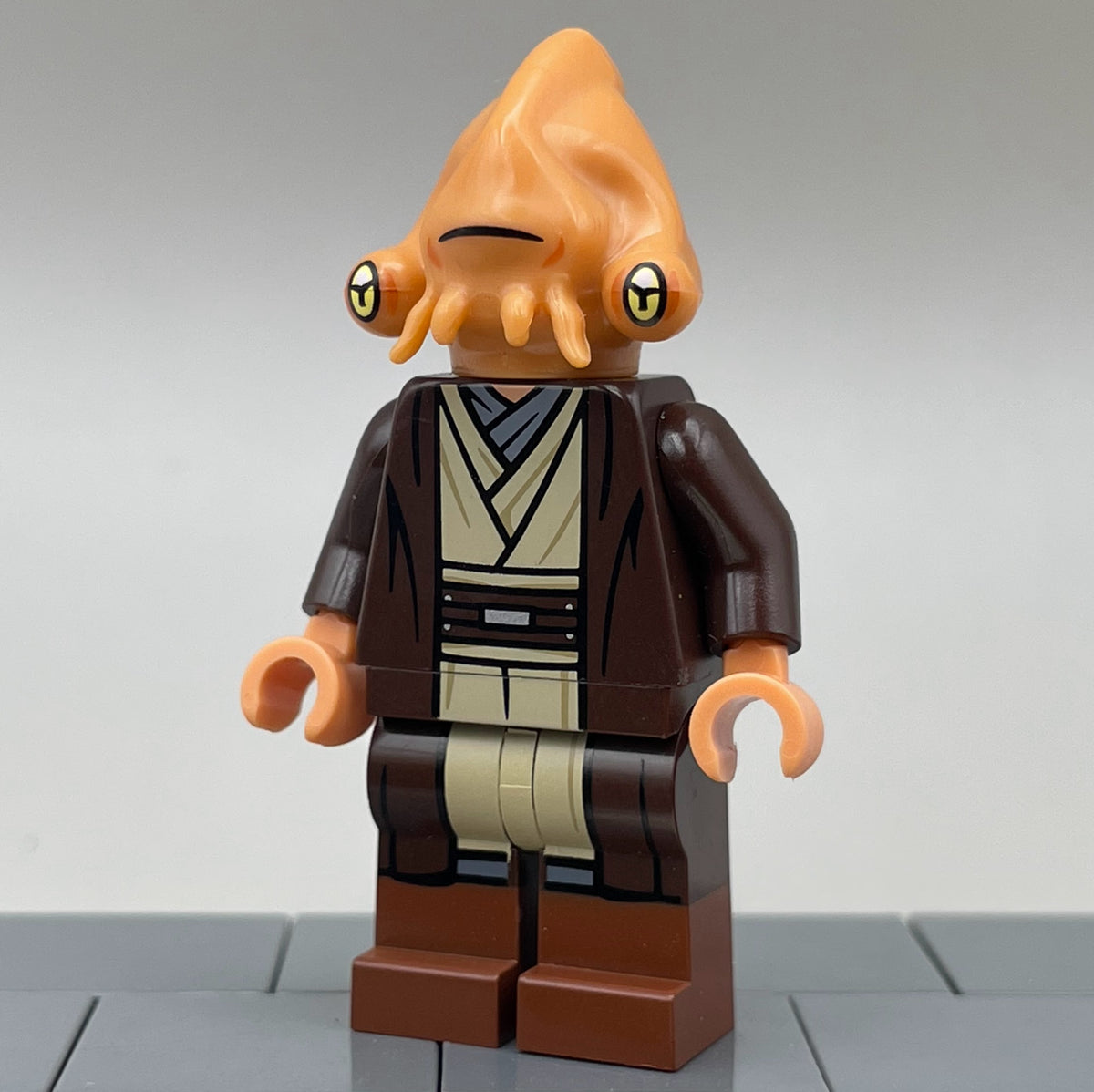 Isosceles Isopod, ROTS - BDM