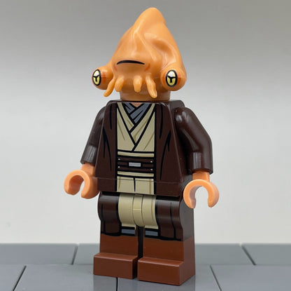 Isosceles Isopod, ROTS - BDM