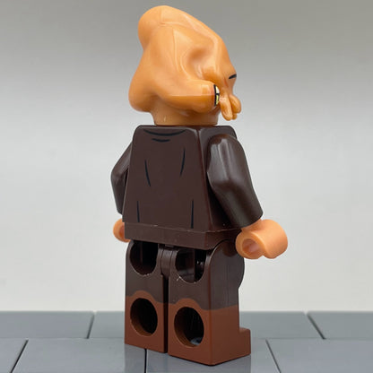 Isosceles Isopod, ROTS - BDM