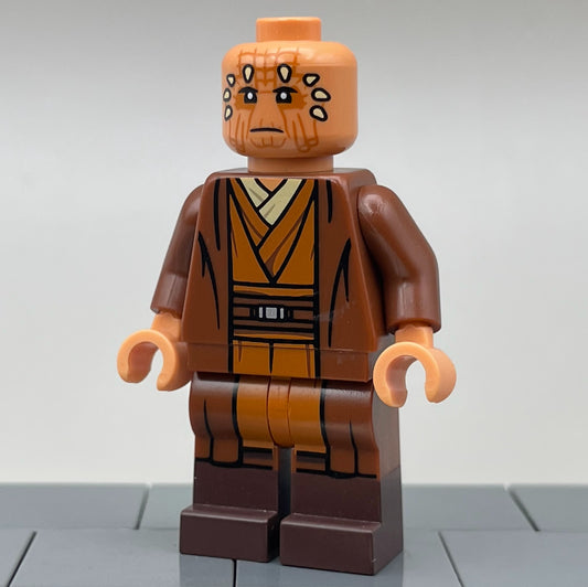 Maki Roll, ROTS - BDM