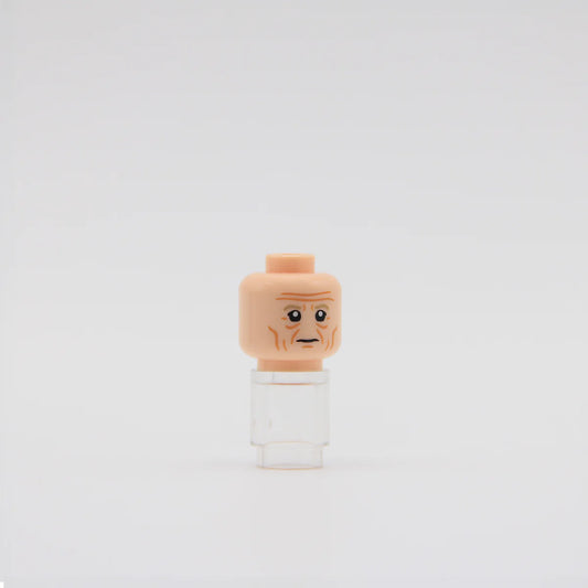 Scheming Servant Head - RC
