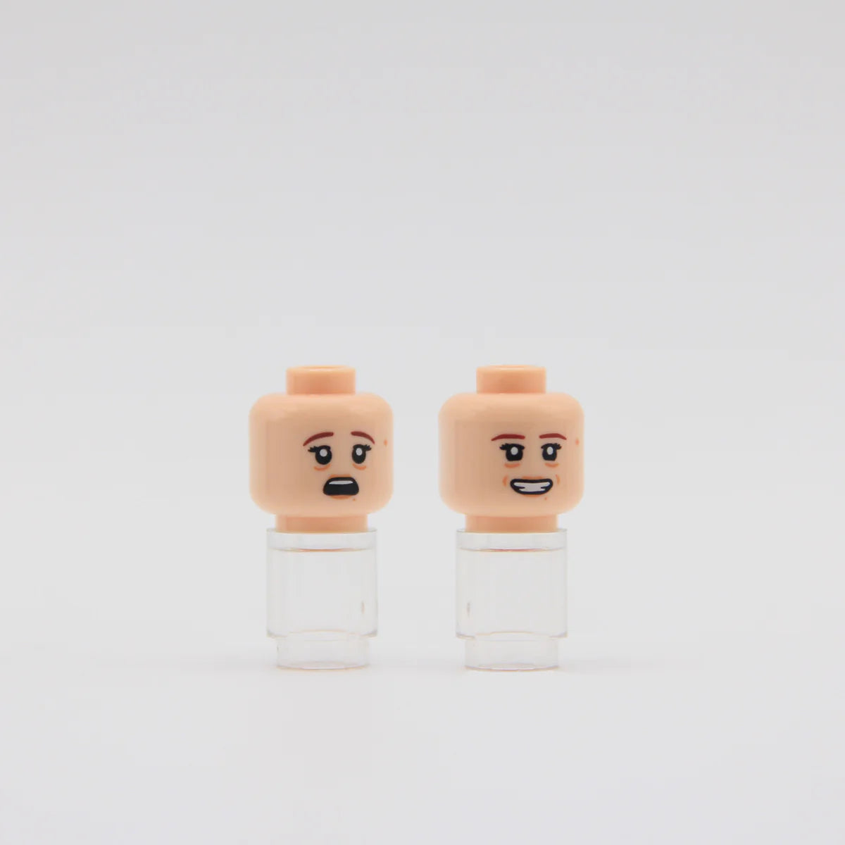 Suspicious Supervisor Head - RC