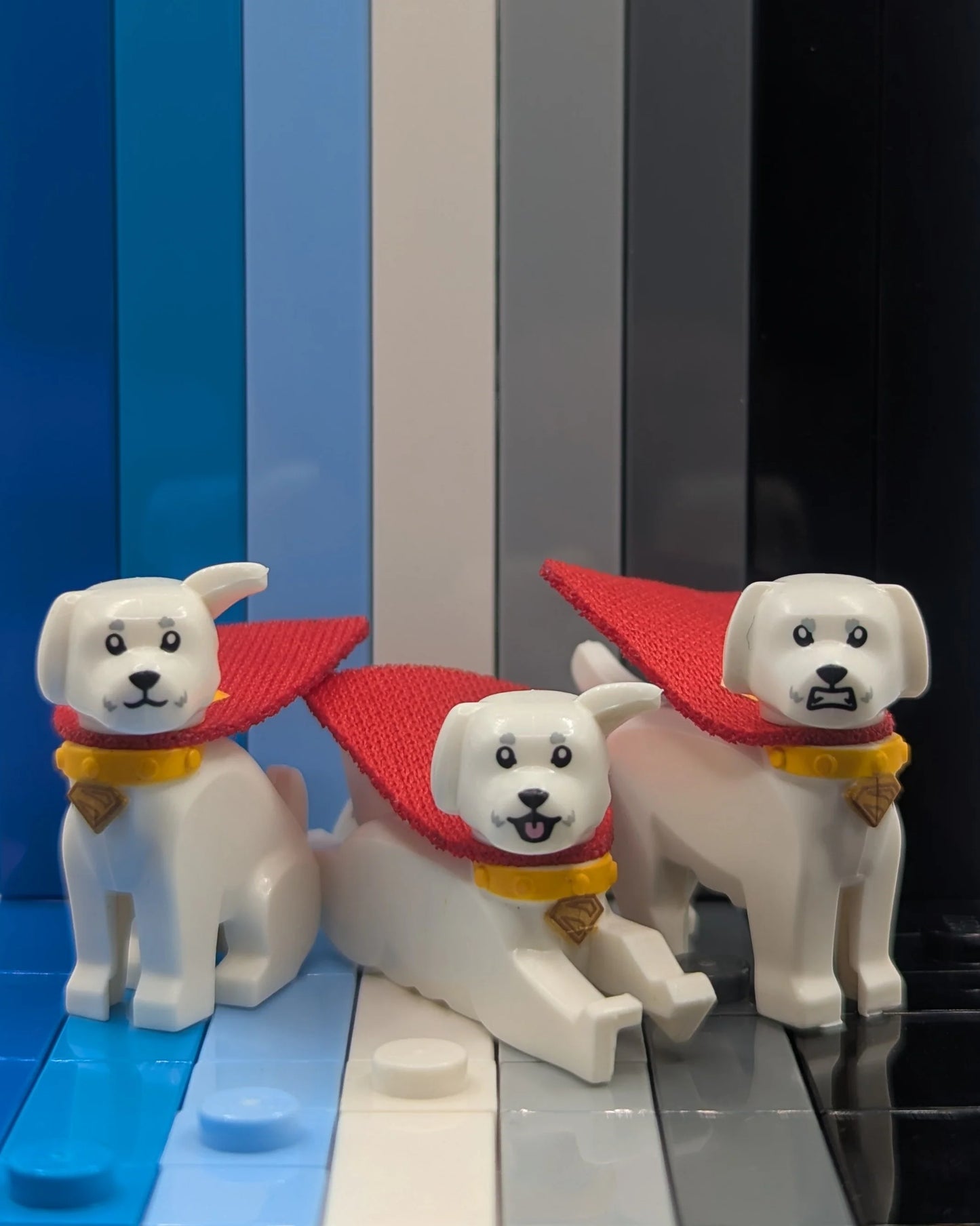 Cosmic Canine - PTC